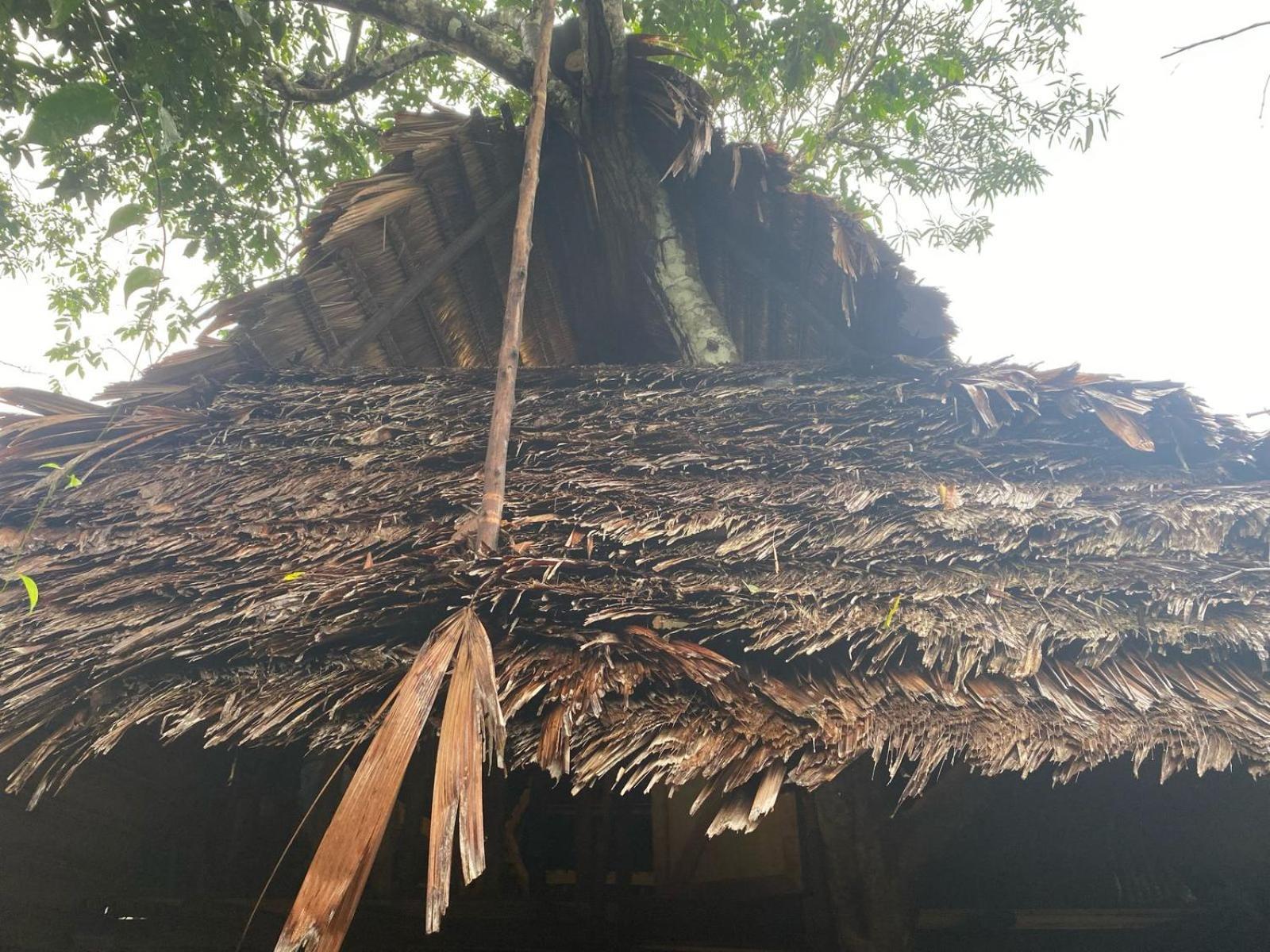 Xingu Camping Site Leticia Exterior foto