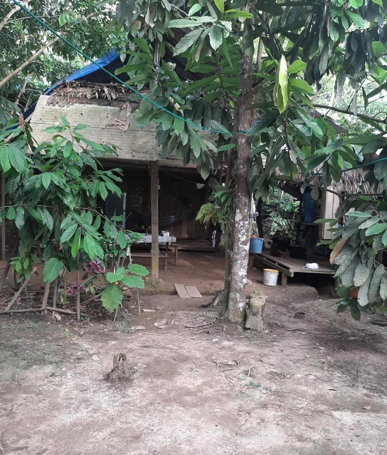 Xingu Camping Site Leticia Exterior foto